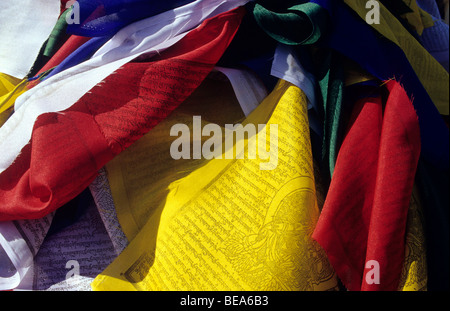 Rouen (76): 5. Ausgabe des "Armada du Siècle" (Armada des Jahrhunderts) (2008/07/12) Stockfoto