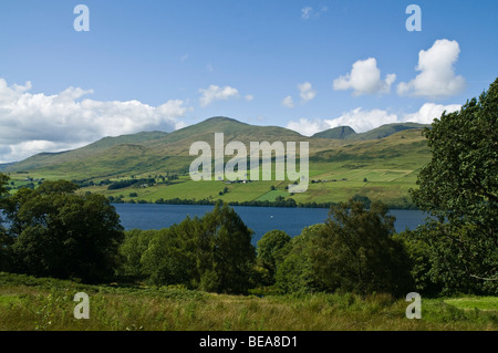 Dh LOCH TAY PERTHSHIRE Ben Lawers Bergkette und lochside Bäume Schottland Berge Stockfoto