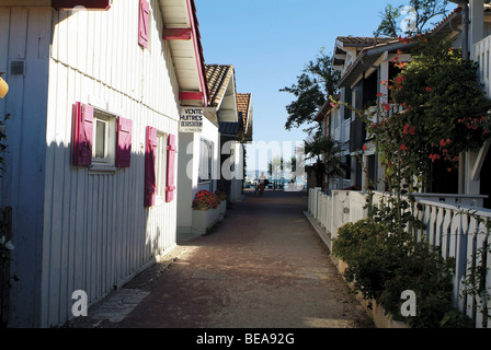 D ' Arcachon (33): l ' herbe Stockfoto