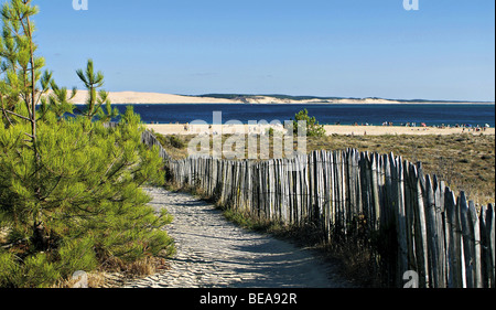 D ' Arcachon (33): "Cap Ferret" Kap Stockfoto