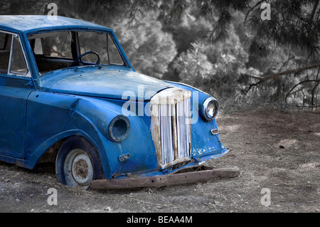 Oldtimer in der Natur Stockfoto