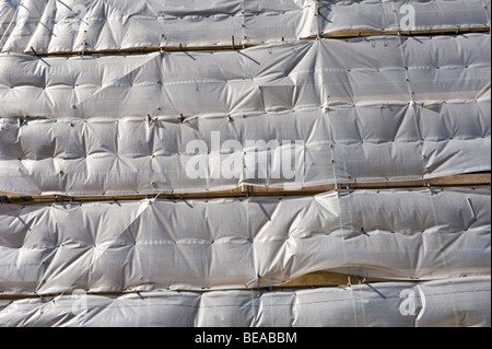 Gebäude saniert in Plastikfolie Newport South Wales UK abgedeckt Stockfoto