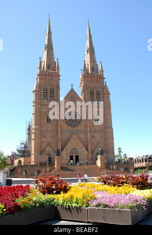 St. Marys Cathedral, Sydney, Australien Stockfoto