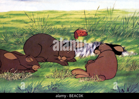 WATERSHIP DOWN 1978 Nepenthe Cartoon-Version von dem Roman von Richard Adams Stockfoto