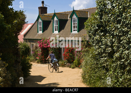 dh LITTLE SARK SARK INSEL Touristen Fahrrad fahren in Landstraßen und Hütten eine Frau Radfahrer Fahrrad Kanal Inseln Urlauber Radfahren Stockfoto