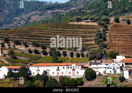 Weinberge-Bergdorf in der Nähe von Assento Blick vom Weingut Quinta da Gaivosa Douro portugal Stockfoto