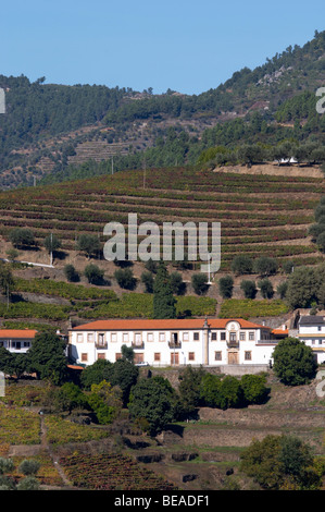 Weinberge-Bergdorf in der Nähe von Assento Blick vom Weingut Quinta da Gaivosa Douro portugal Stockfoto