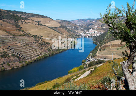 Douro-Fluss und steilen Weinbergen Blick auf Pinhao vom Weingut Quinta Seixo Sandeman Douro portugal Stockfoto