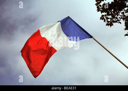 Die Flagge von Frankreich gegen wolkenverhangenen Himmel Stockfoto