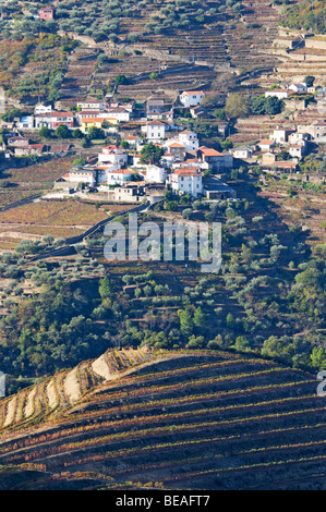 Weinberge Quinta noval Blick auf São Cristóvão tun Douro Douro portugal Stockfoto