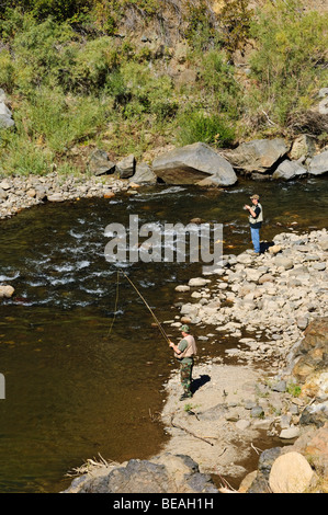 Angeln auf Forelle auf dem Markleeville Carson River-Kalifornien Stockfoto