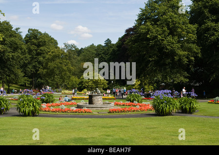 dh HARROGATE NORTH YORKSHIRE Valley Gardens Harrogate Blumenbeete anzeigen Stockfoto