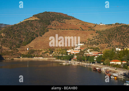 Douro-Fluss und steilen Weinbergen Pinhao Douro Portugal Stockfoto