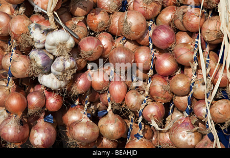 Saiten von Zwiebeln und Knoblauchzehen zum Verkauf Abergavenny Food Festival Wales UK Stockfoto