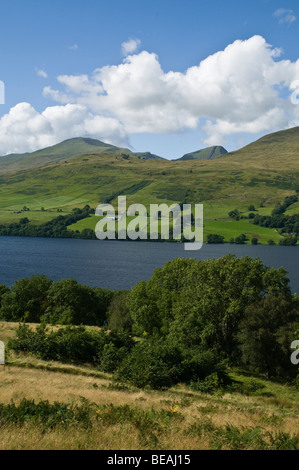 dh LOCH TAY PERTHSHIRE Ben Lawers Bergkette und lochside Bäume Hochland Gipfel Landschaft Hügel Stockfoto