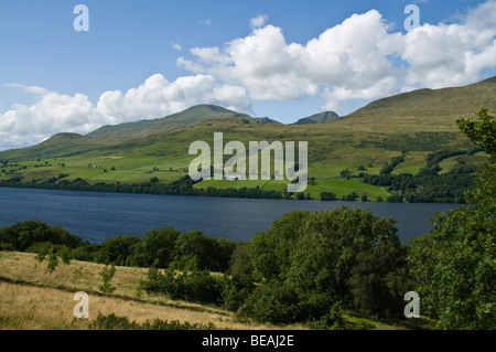 Dh LOCH TAY PERTHSHIRE Ben Lawers Bergkette und lochside Bäume anzeigen Peaks Stockfoto