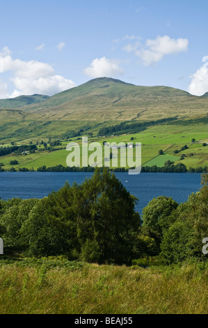 Dh Ben Lawers LOCH TAY PERTHSHIRE Munro Bergkette und lochside Bäume Scottish Highland Berge Stockfoto