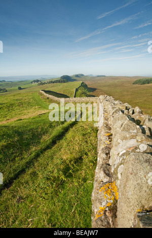 Dawn Blick entlang Hadrianswall blicken nach Housesteads Fort, Uk Stockfoto