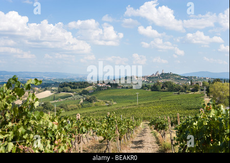 Weinberge in der Toskana mit dem Hügel Stadt San Gimignano in der Ferne, Toskana, Italien Stockfoto