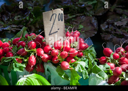 Jean Talon Market (März Jean-Talon) in Montreal Kanada Stockfoto