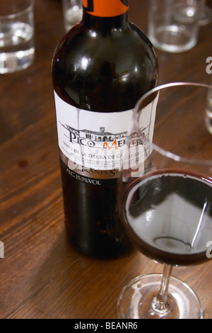 Pico Melero Granja Sardon Vino De La Tierra de Castilla y Leon Restaurant La Garrocha Valladolid Spanien Kastilien und leon Stockfoto