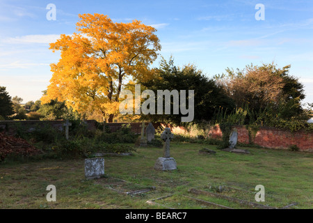 Kirchhof und Baum mit goldenen Herbst Farbe in die Kirche des Heiligen Johannes der Evangelist, Ickham, Kent, UK Stockfoto