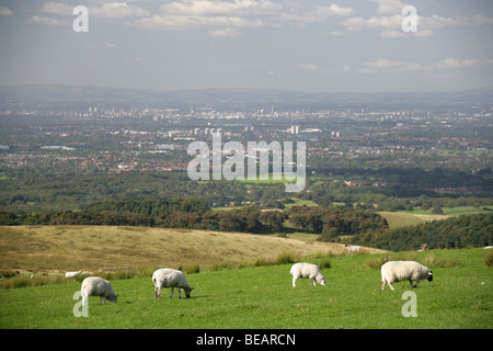 East Cheshire ländlichen Blick von der Gritstone-Trail in der Nähe von sung Hügel, mit Blick von Nordwesten in Richtung Greater Manchester. Stockfoto