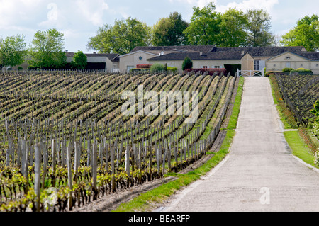 Weingut Château d ' Yquem Sauternes Bordeaux Frankreich Stockfoto