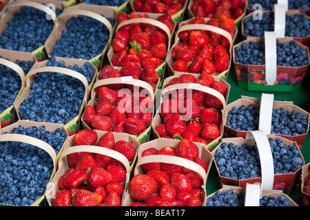 Frische Beeren auf Jean Talon Market (März Jean-Talon) in Montreal Kanada Stockfoto