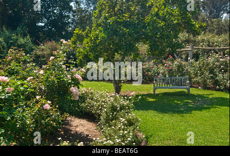 Wunderschönen Rosengarten an der Huntington Library and Botanical Gardens. Stockfoto