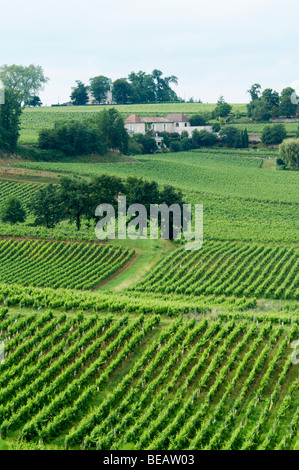 Weingut St. Emilion Bordeaux Frankreich Stockfoto