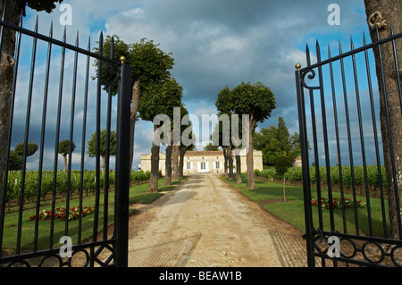 Gate-Eingang Schloss Trottevieille Saint Emilion Bordeaux Frankreich Stockfoto