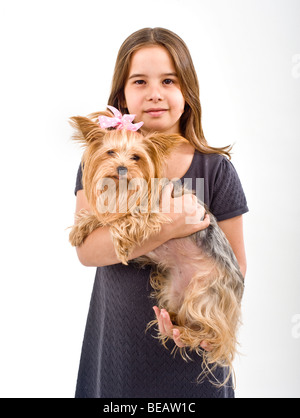 Junges Mädchen hält einen Yorkshire-Terrier Hund isoliert auf weiss Stockfoto