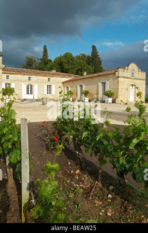 Schloss Trottevieille Saint Emilion Bordeaux Frankreich Stockfoto