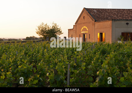 Das Weingut bei Sonnenuntergang Schloss Trottevieille saint Emilion Bordeaux Frankreich Stockfoto