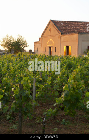 Das Weingut bei Sonnenuntergang Schloss Trottevieille saint Emilion Bordeaux Frankreich Stockfoto