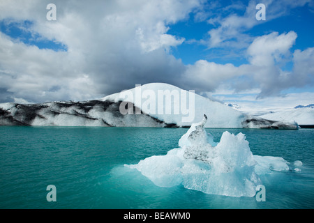 Eisberge gekalbt vom Gletscher schweben in Jökulsárlón Lagune, Island. Stockfoto