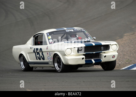 Ein 1965 Shelby GT350 bei einem Oldtimer Rennevent. Stockfoto