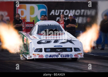 John Force 2008 NHRA Zeitfahren-Aktion auf dem Firebird International Raceway, Chandler, Arizona, USA Stockfoto