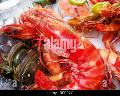 Anzeige der frische Krabben und Hummer, Fisch-Restaurant Rethymnon, Kreta, Griechenland Stockfoto