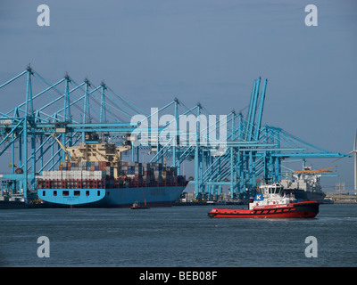 Große Container-Terminals mit Schiffen im Hafen von Rotterdam, Zuid Holland, Niederlande Stockfoto