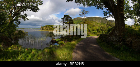 Muckross Lake, Killarney, Co. Kerry, Irland Stockfoto