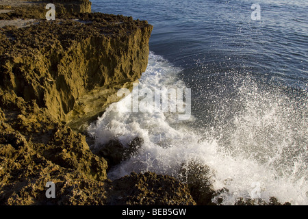 Brandung gegen die Felsen entlang der atlantischen Küste von Jupiter in Florida Stockfoto