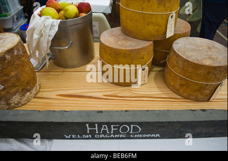 Hafod Welsh Bio Cheddar präsentieren ihre Produkte in der großen britischen Käse Festival Cardiff South Wales UK Stockfoto