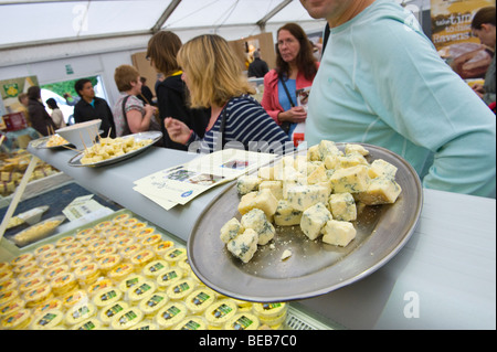 Teller mit Käse Proben auf Zähler bei der großen britischen Käse Festival Cardiff South Wales UK Stockfoto