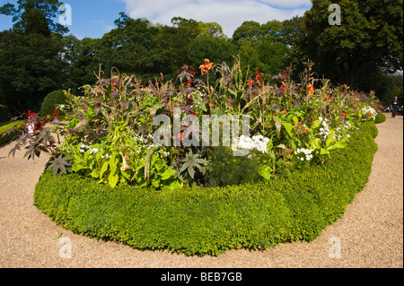 Grünanlage mit Box Hecke Pflanzen groß und Statue des Marquess of Bute im Stadtzentrum von Cardiff South Wales UK Stockfoto