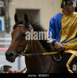 Pferderennen Palio Di Asti Piemont Italien-festival Stockfoto