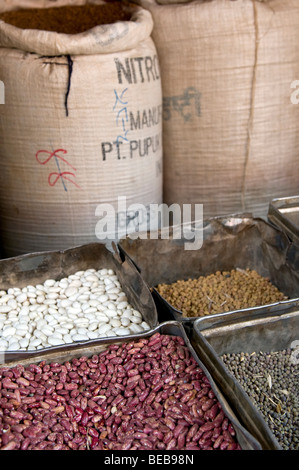 Bohnen zum Verkauf, Bhaktapur, Nepal Stockfoto