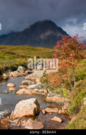 Buachaillie Etive Mor in Glen Coe, Inverness-Shire SCO 5351 Stockfoto