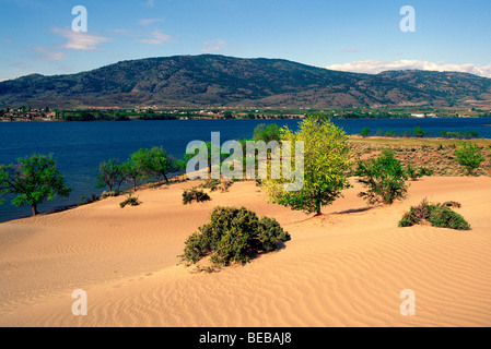 Wüstenlandschaft in der Nähe von Osoyoos, BC, South Okanagan Valley, British Columbia, Kanada - "Tasche" Wüste und Osoyoos Lake Scenics Stockfoto
